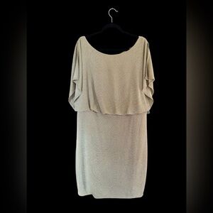 NWT Melrose Elegant Beige Blush Formal Sparkly Midi Dress